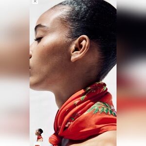 Zara Embroidered Red Floral Bandana/scarf